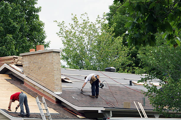 Best Roof Restoration Services  in New Hackensack, NY